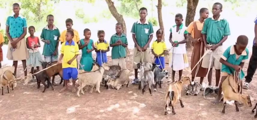 Schoolchildren in green uniforms standing with the goats they received through RCO