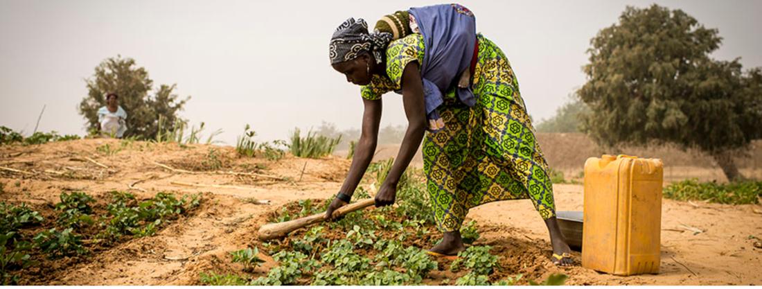 A woman tends a vegetable plot beside a yellow water jerrycan