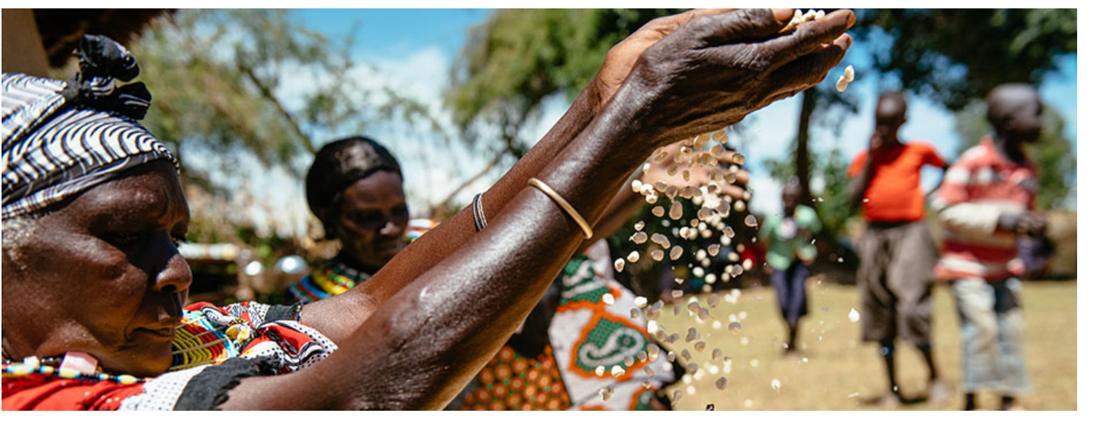 An elder scatters seed by hand as others look on